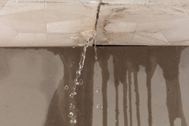 Professional Water Damage Inspection technician working in Belchertown, MA